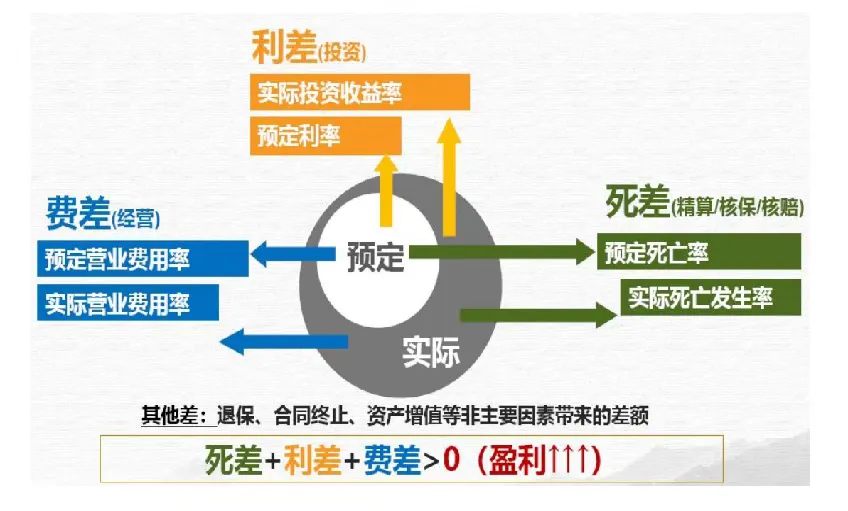 <b>分红险不保证收益，为什么却相对稳定？</b>