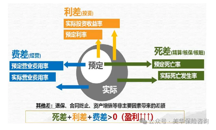 谁说分红险复杂？这10个问答，让小白也能一次读懂！
