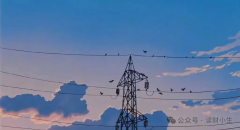 存款利率“1时代”来了，老百姓还有什么出路打理“钱袋子”